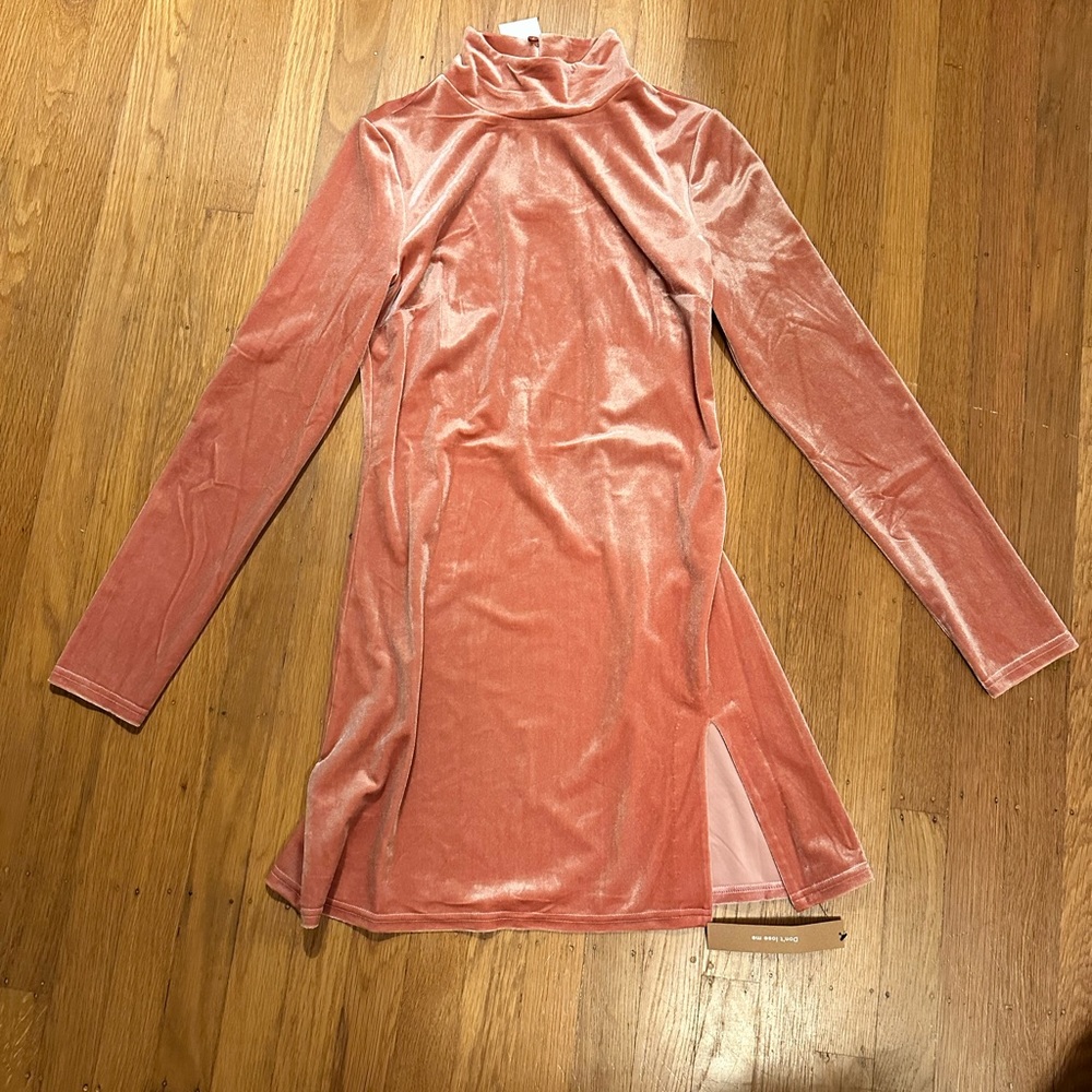Pink Velvet Reformation dress